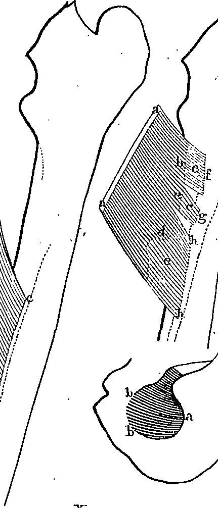 096/096940040001250_5.png