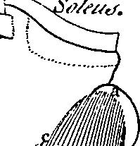 096/096940040001290_0.png
