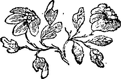 096/096940050000210_0.png