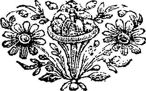 097/097060010000880_0.png