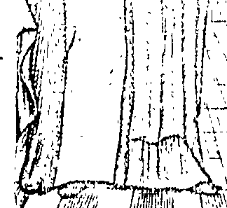 097/097060030000010_0.png