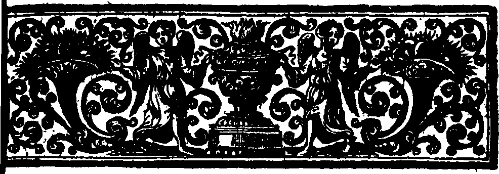 097/097120020000240_1.png