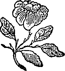 097/097140040002050_0.png