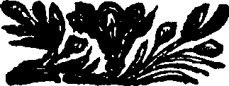 097/097170010000720_1.png