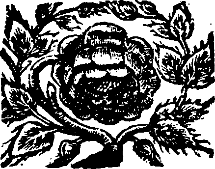 097/097170020000240_0.png