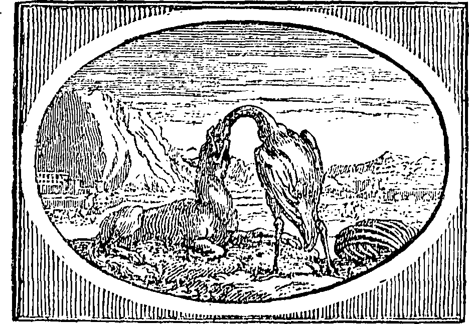 097/097190010000420_0.png