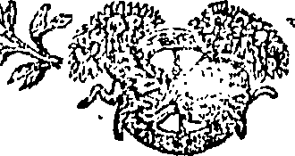 097/097190010003430_0.png