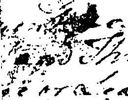 097/097190170000020_0.png
