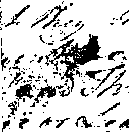 097/097190170000040_2.png