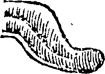 097/097190190000190_1.png