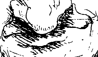 097/097210150000090_0.png