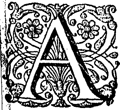 097/097240050000030_0.png