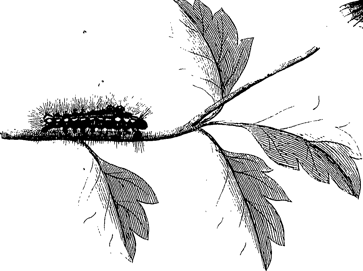 097/097250060001870_0.png