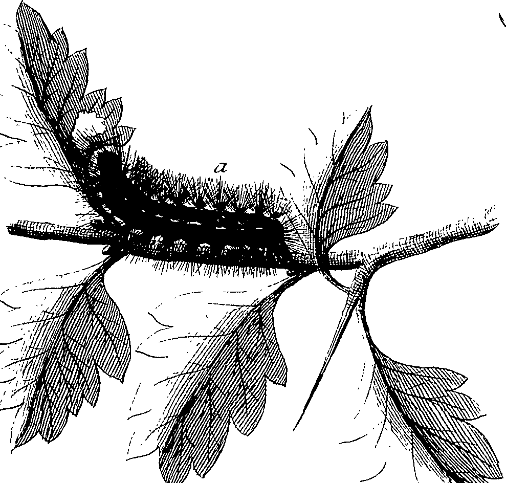 097/097250060001870_1.png