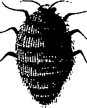 097/097250060001920_1.png