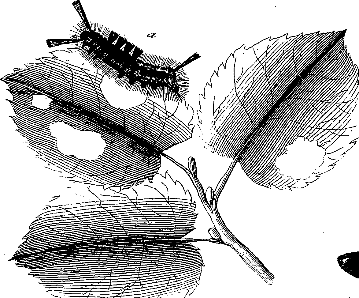 097/097250060001920_2.png