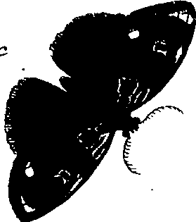 097/097250060001920_3.png