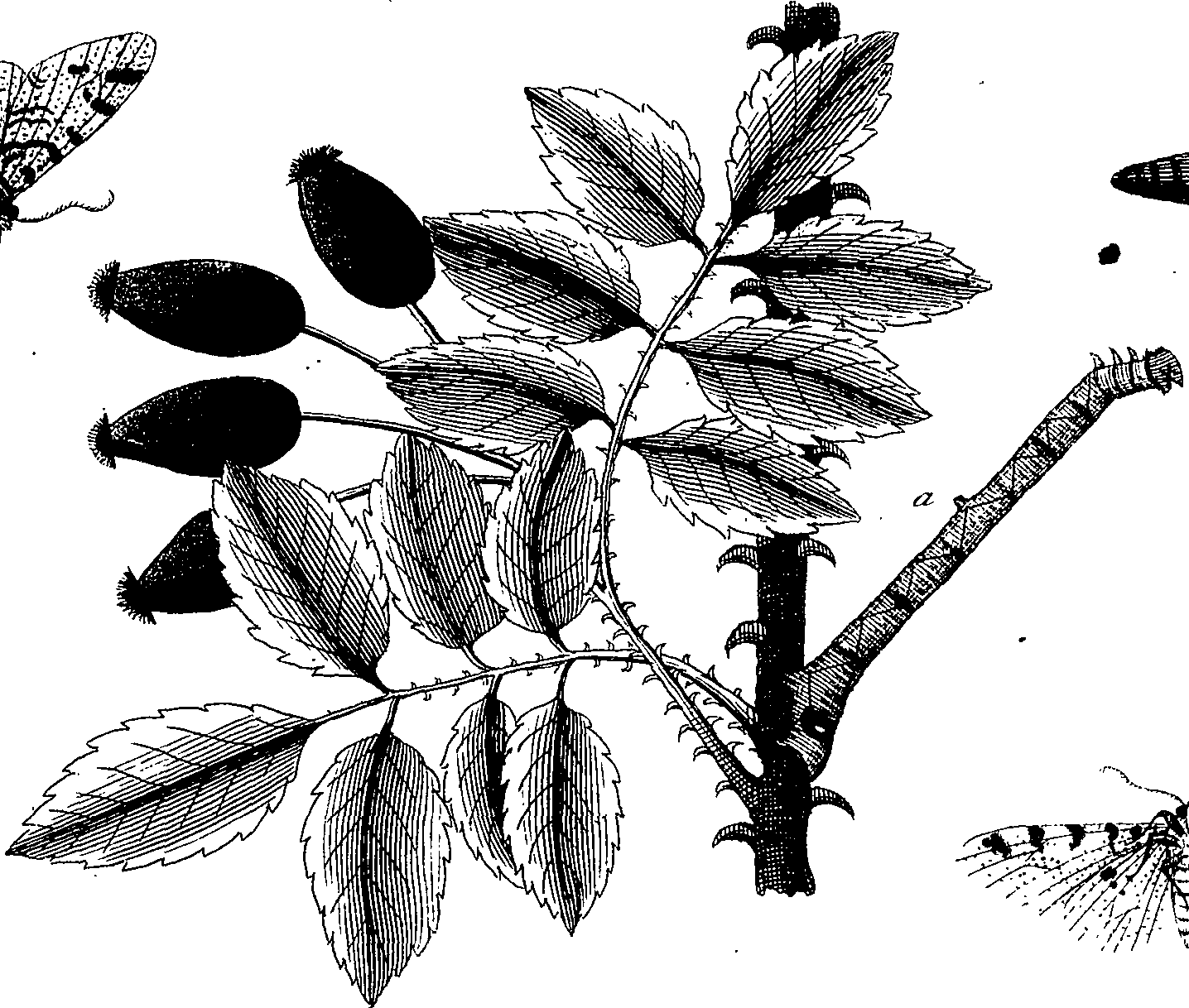 097/097250060001950_1.png