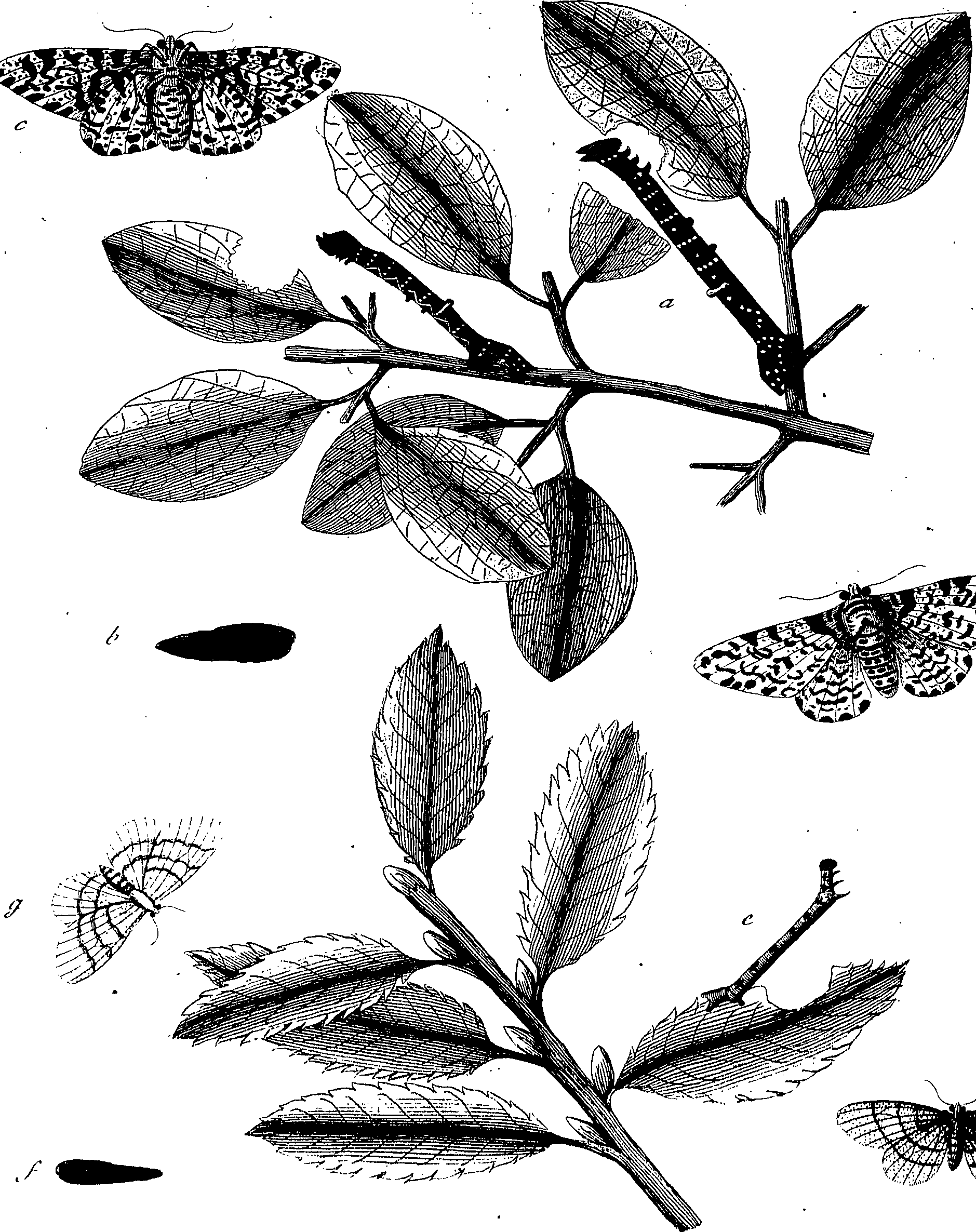 097/097250060001960_0.png