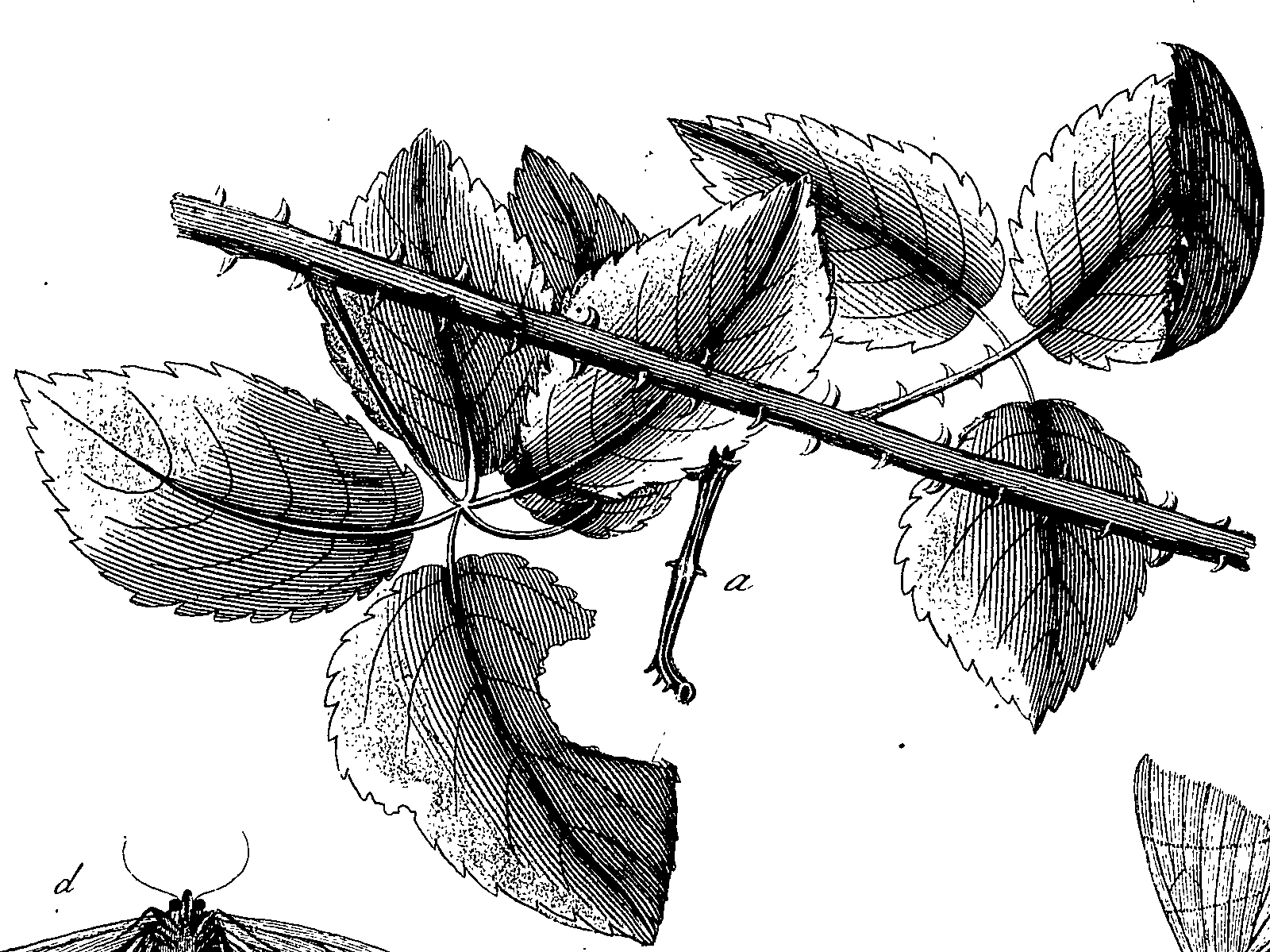 097/097250060002000_1.png