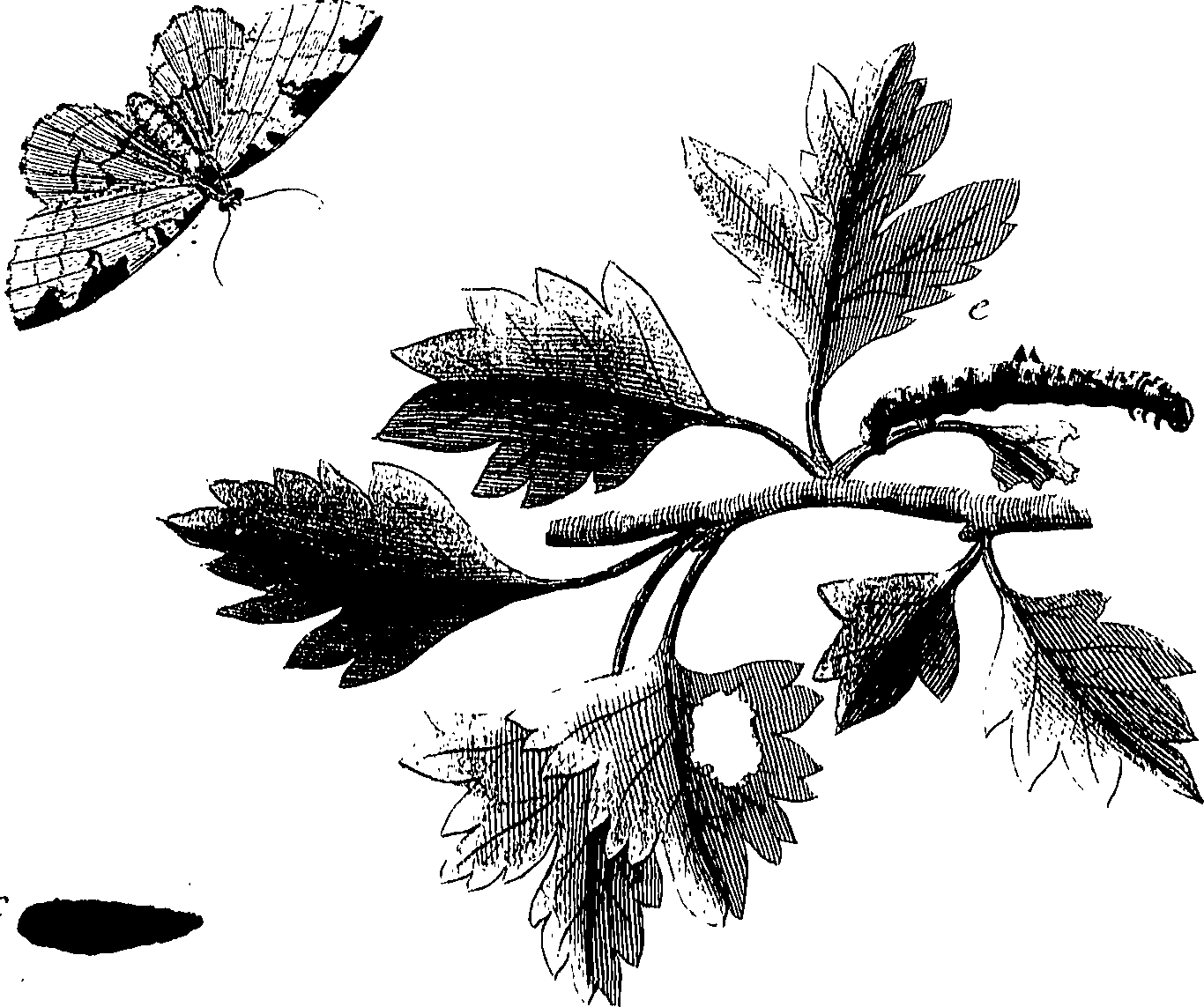 097/097250060002030_0.png