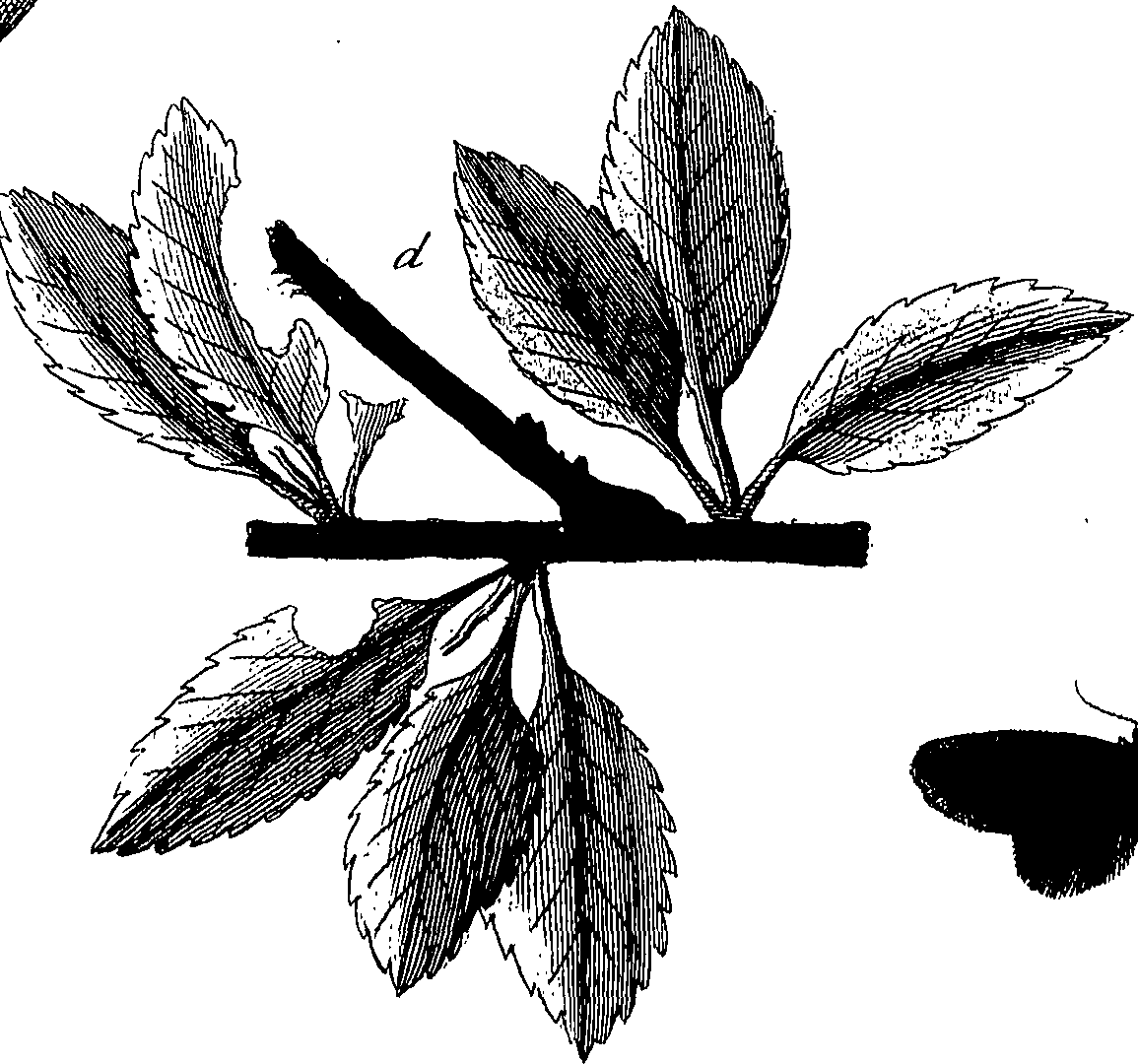 097/097250060002040_0.png