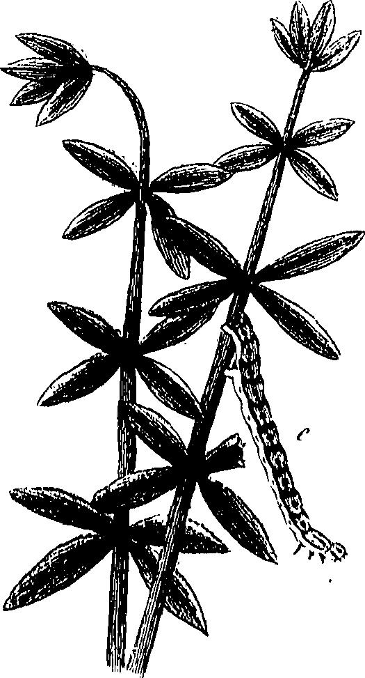 097/097250060002070_0.png