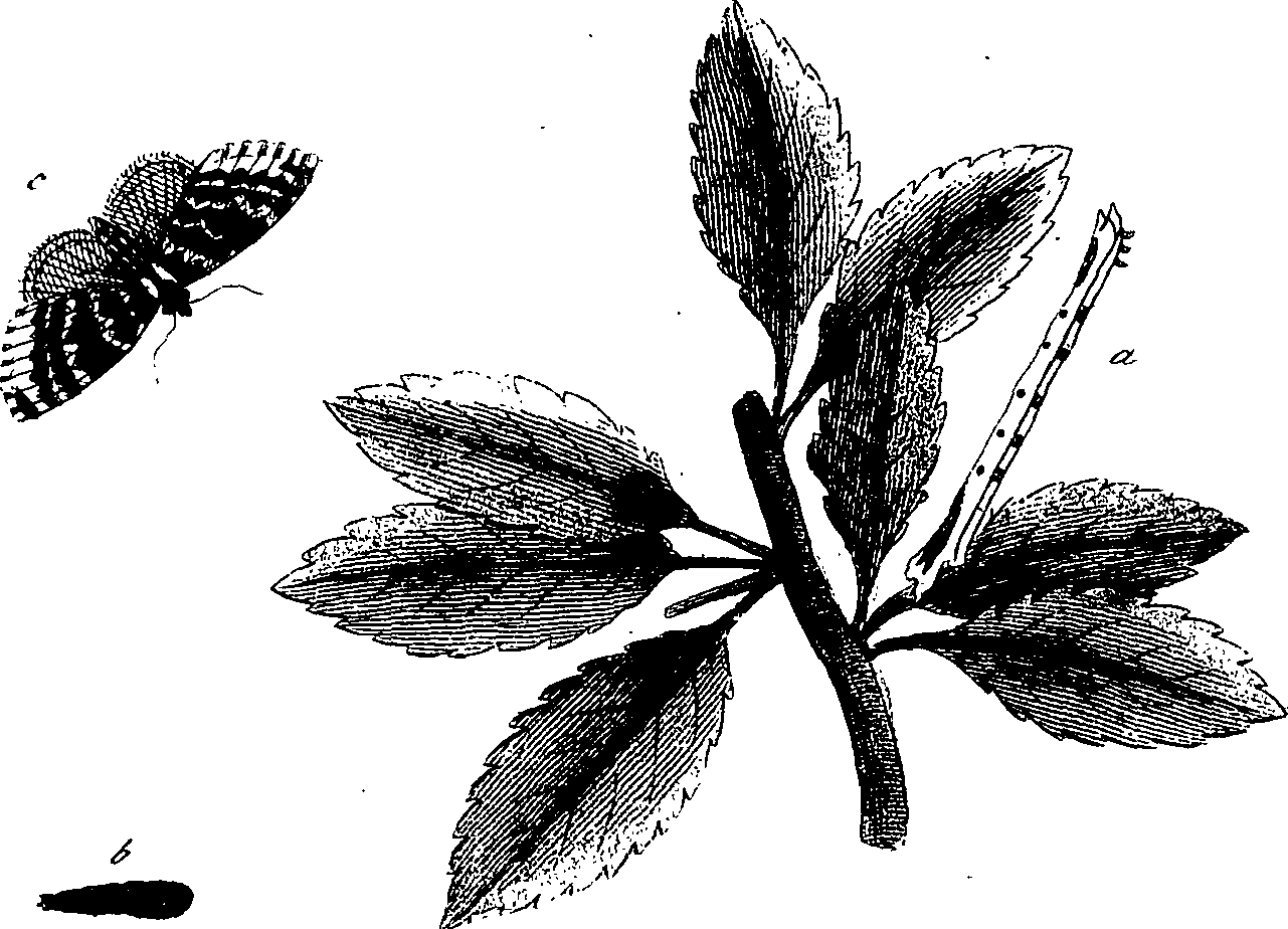 097/097250060002080_1.png