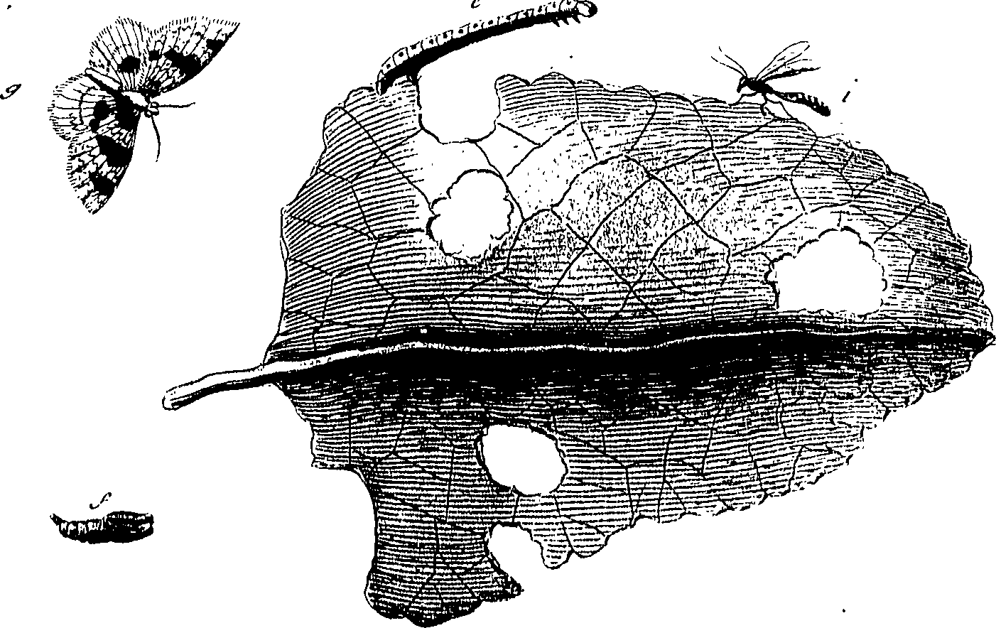 097/097250060002110_0.png