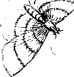 097/097250060002110_1.png