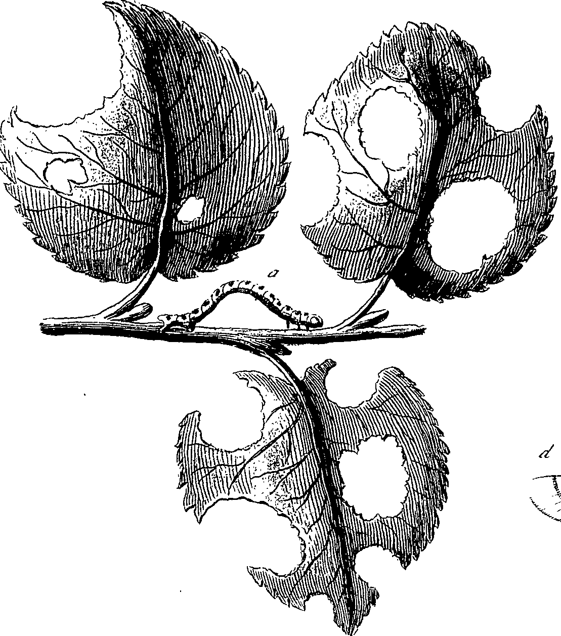 097/097250060002110_2.png