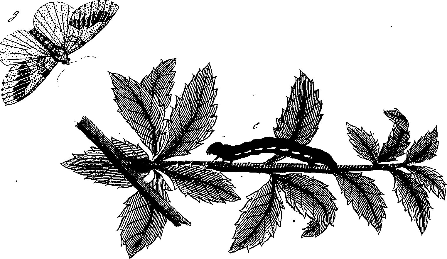 097/097250060002120_0.png