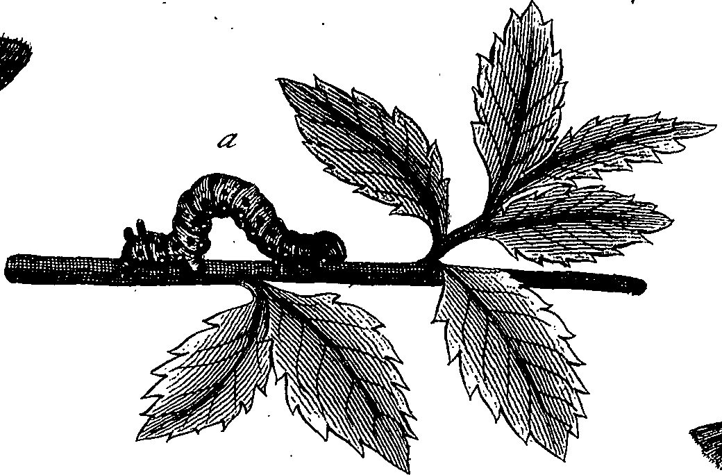 097/097250060002120_1.png