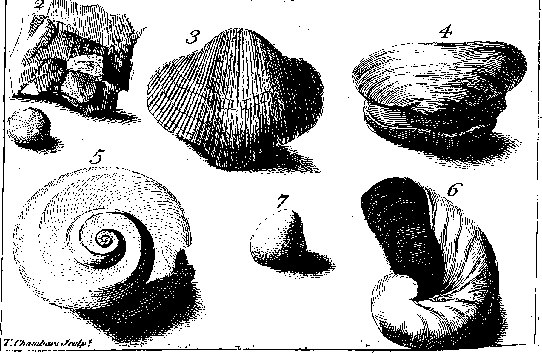 097/097260090001840_0.png