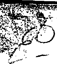 097/097280010000010_0.png