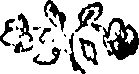 097/097510110000070_0.png