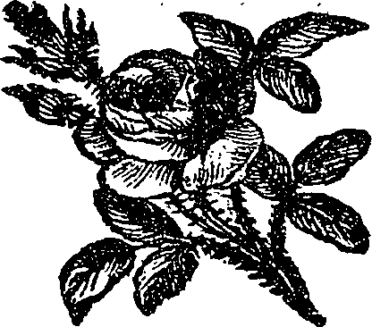 097/097820020000060_0.png
