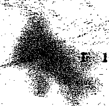 097/097840030000360_1.png