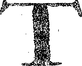 098/098110070000030_0.png