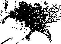 098/098150010002070_1.png