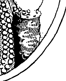 098/098190010203940_0.png