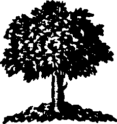 098/098240050000250_0.png