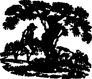 098/098240050000330_0.png