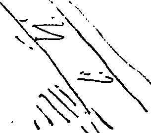 098/098270020002360_1.png