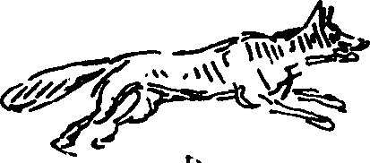 098/098270020002360_2.png