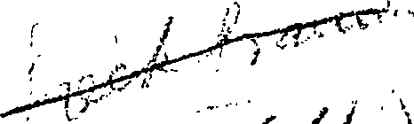 098/098320020000010_0.png