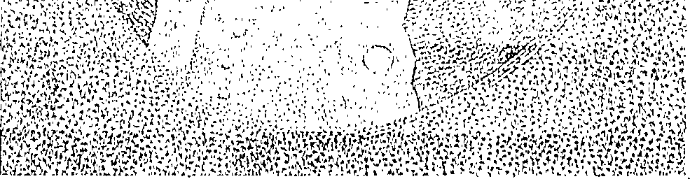 098/098330140000010_0.png