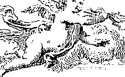 098/098350010000390_0.png