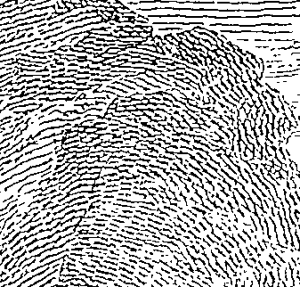 098/098350010000840_0.png