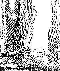 098/098350010001630_0.png